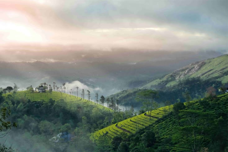 Kanthaloor Holiday Package from Madurai – HT Holiday